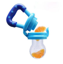 Baby Fruits Feeding Pacifier