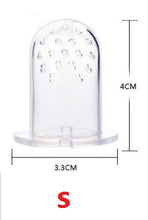 Baby Fruits Feeding Pacifier